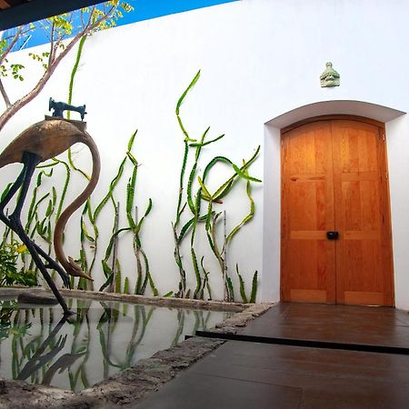 Hotel Casa Carmen Xolotl à Oaxaca Extérieur photo